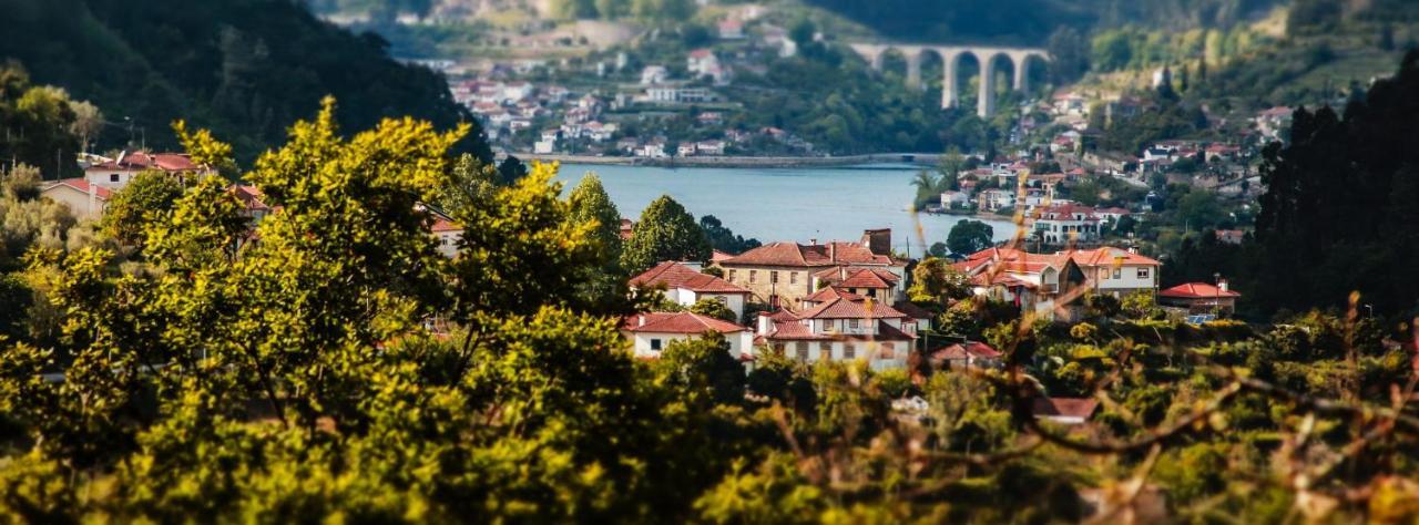 Douro Studio Cinfães Kültér fotó