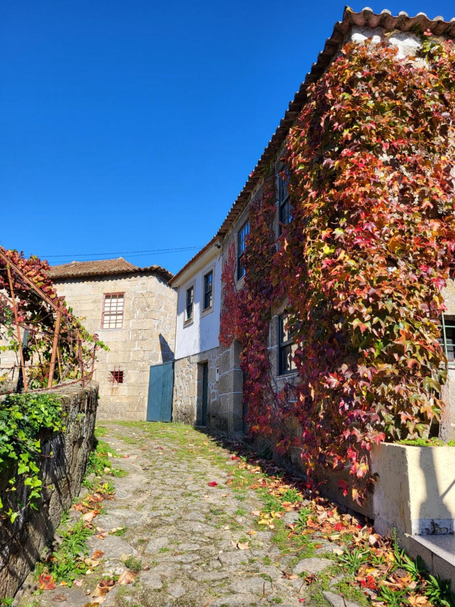 Douro Studio Apartman Cinfães Kültér fotó