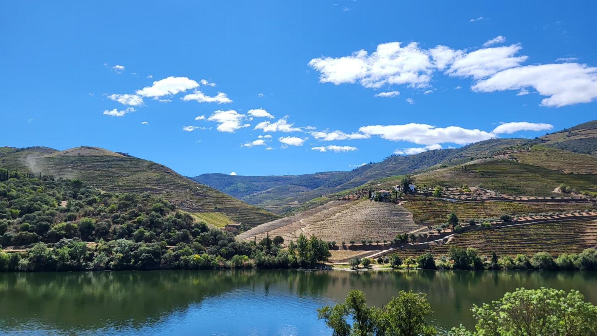 Douro Studio Cinfães Kültér fotó